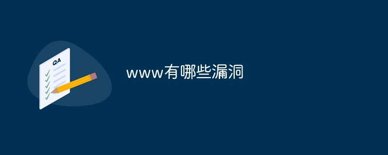 www有哪些漏洞