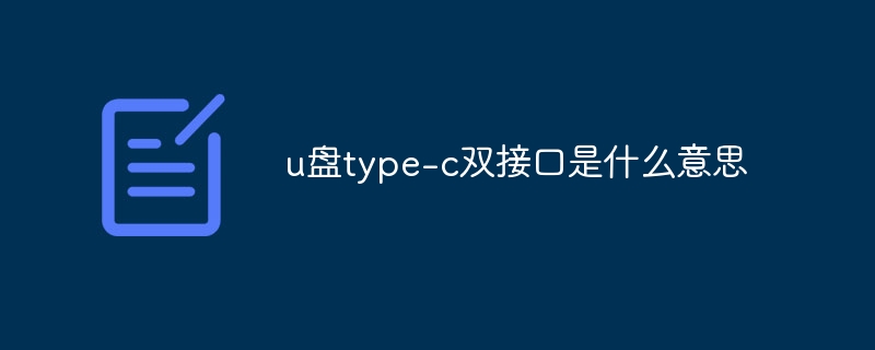 u盘type-c双接口是什么意思