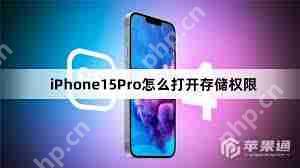 苹果iPhone15如何开启存储权限