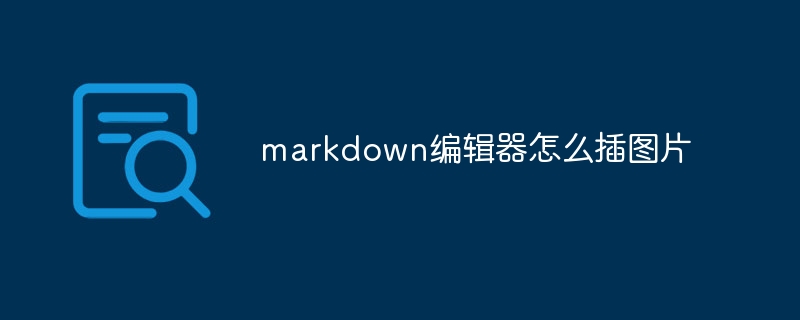 markdown编辑器怎么插图片