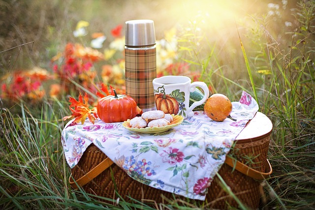picnic是什么意思