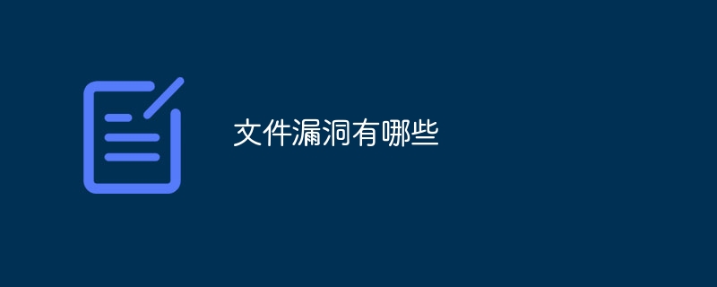 文件漏洞有哪些