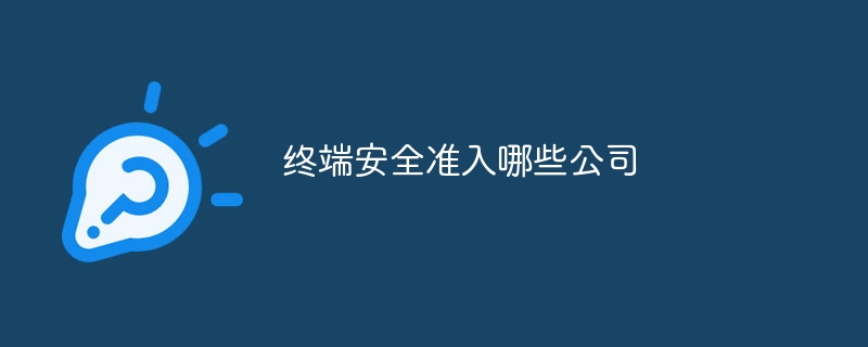 终端安全准入哪些公司