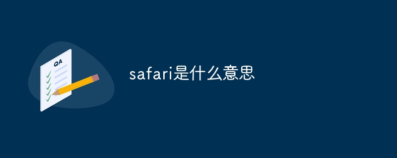 safari是什么意思
