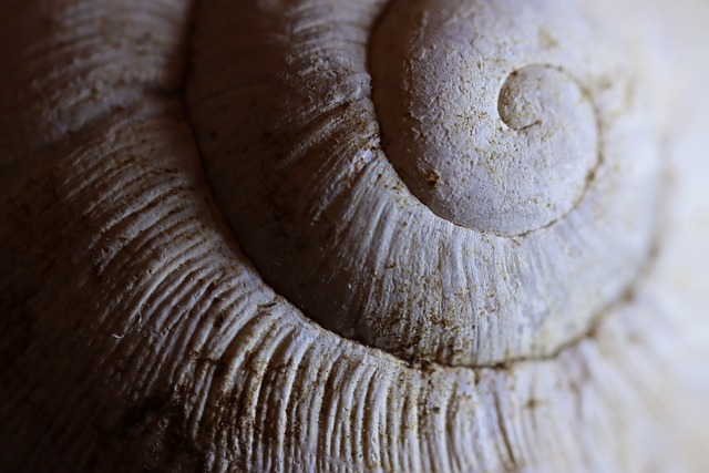 Shell语法详解