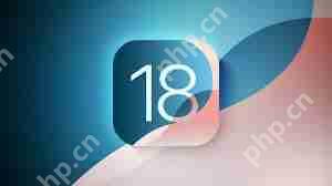 iOS18关闭验证通道