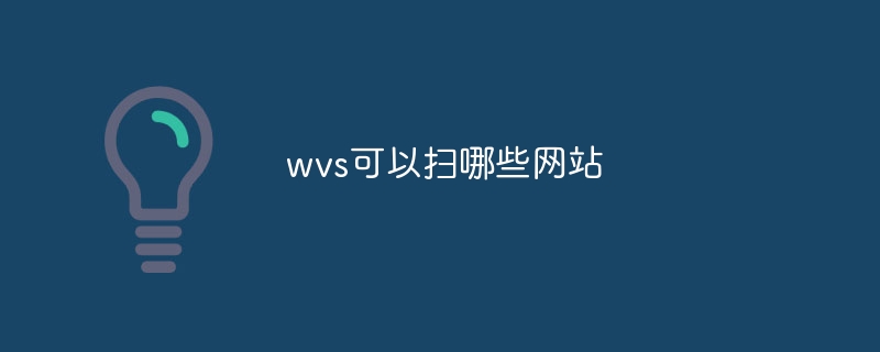 wvs可以扫哪些网站