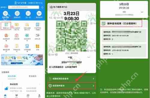 支付宝如何查询疫苗接种记录