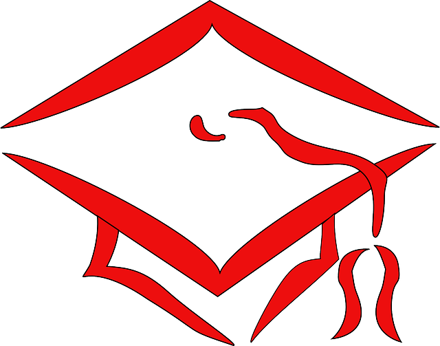 学信网怎么看学历编号