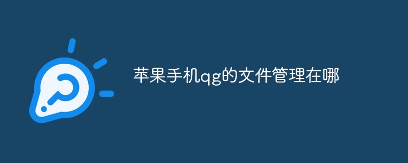 苹果手机qg的文件管理在哪