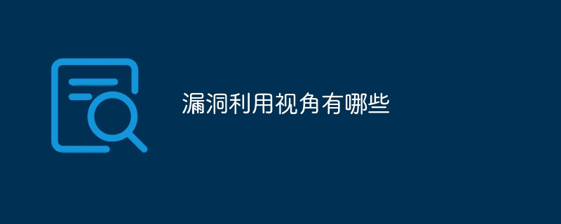漏洞利用视角有哪些