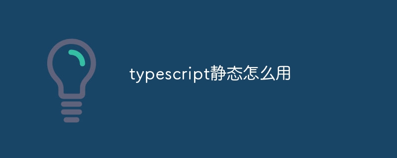 typescript静态怎么用