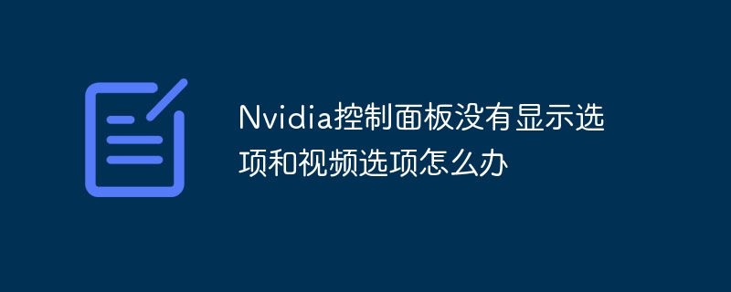 Nvidia控制面板没有显示选项和视频选项怎么办