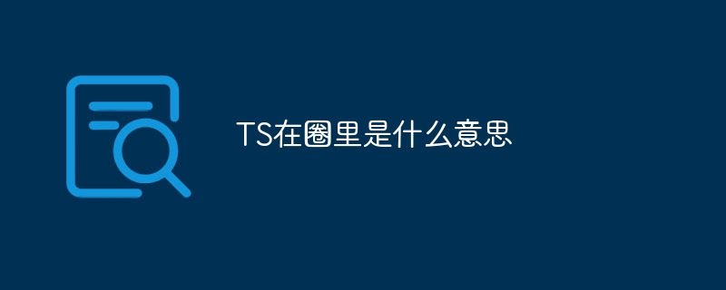 TS在圈里是什么意思