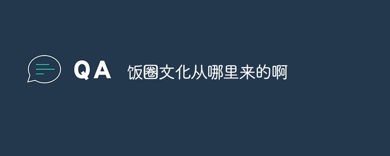 饭圈文化从哪里来的啊