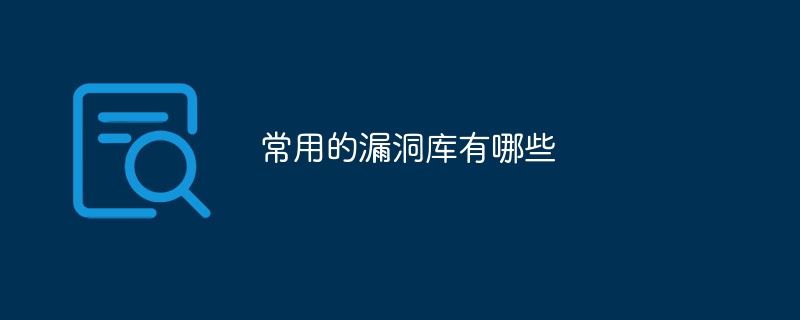 常用的漏洞库有哪些