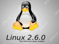 linux系统是什么-路由网