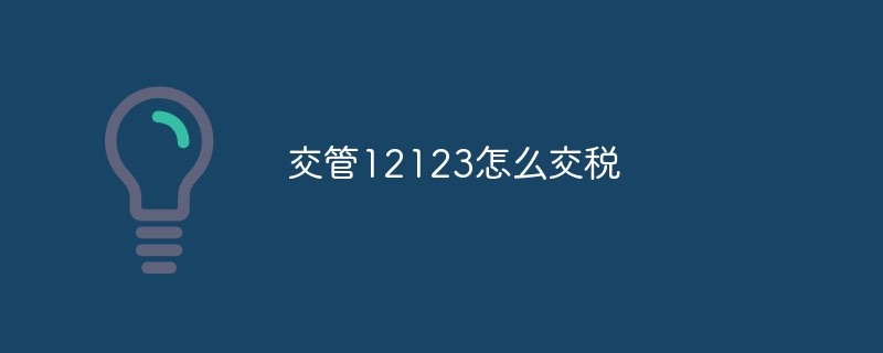 交管12123怎么交税