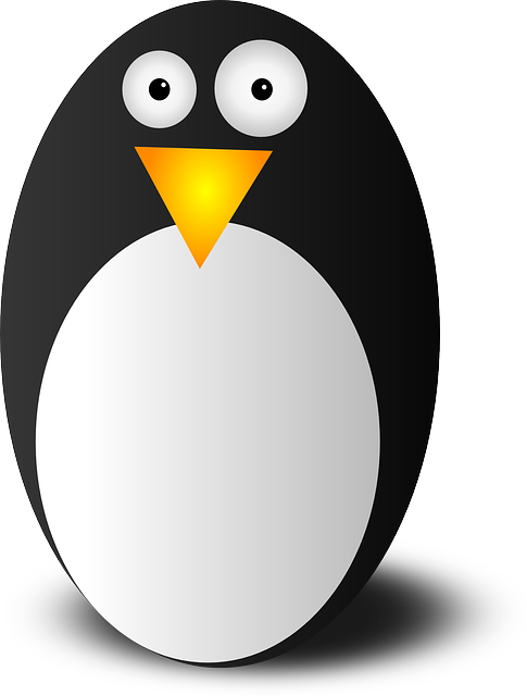 Ubuntu和Xubuntu的区别是什么
