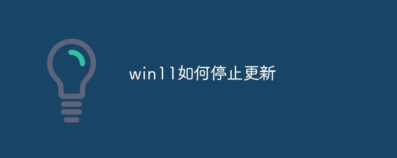 win11如何停止更新