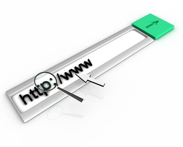 除了http和https还有什么格式