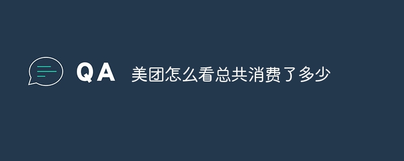 美团怎么看总共消费了多少