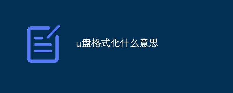 u盘格式化什么意思
