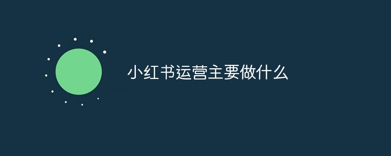 小红书运营主要做什么