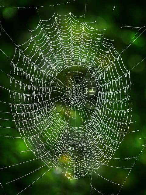 如何不输密码连接网络