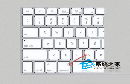 苹果电脑复制粘贴的快捷键是什么?