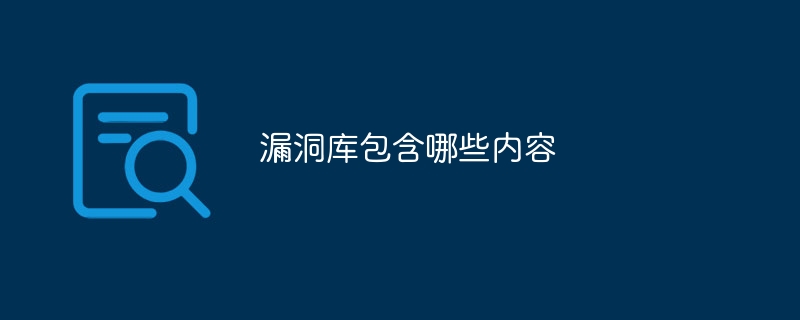 漏洞库包含哪些内容