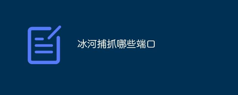 冰河捕抓哪些端口
