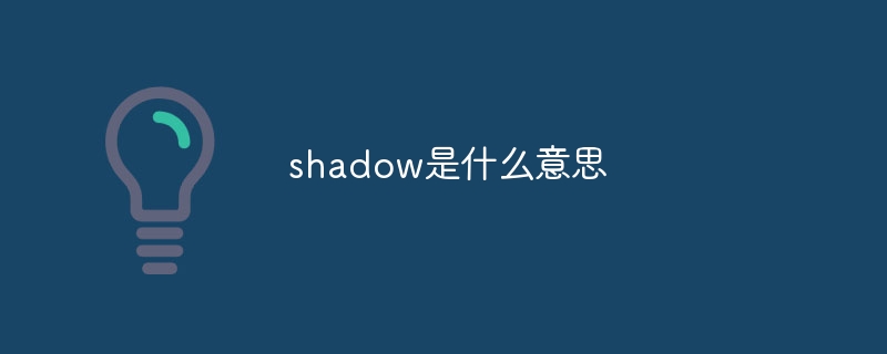 shadow是什么意思