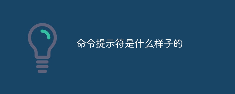 命令提示符是什么样子的