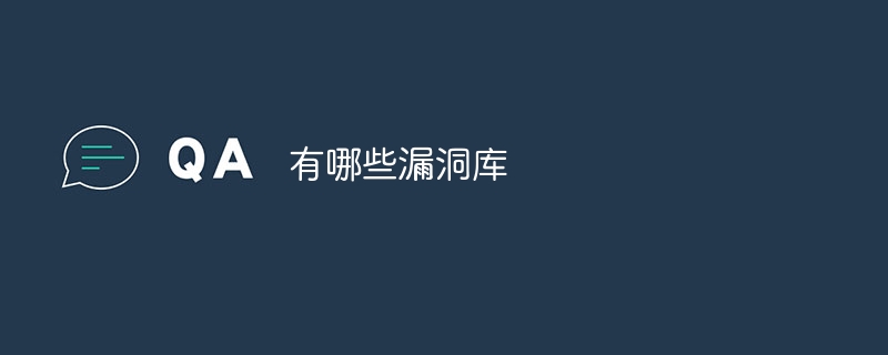 有哪些漏洞库