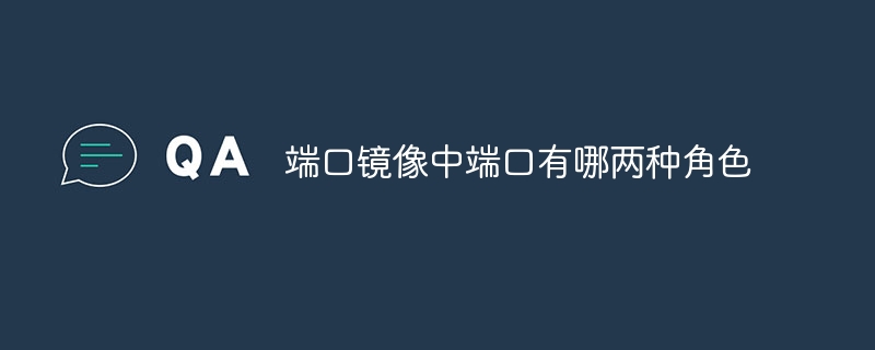 端口镜像中端口有哪两种角色