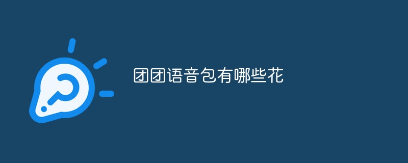 团团语音包有哪些花