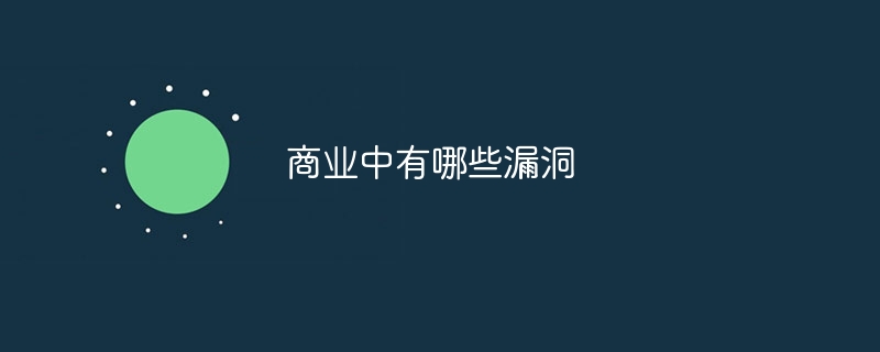 商业中有哪些漏洞