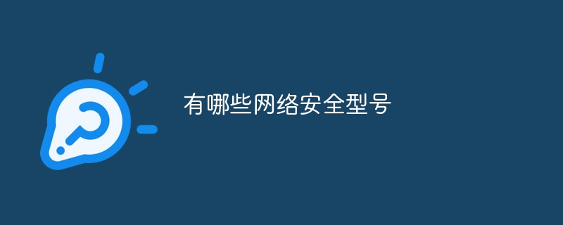 有哪些网络安全型号