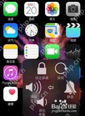 苹果手机如何进行长截图