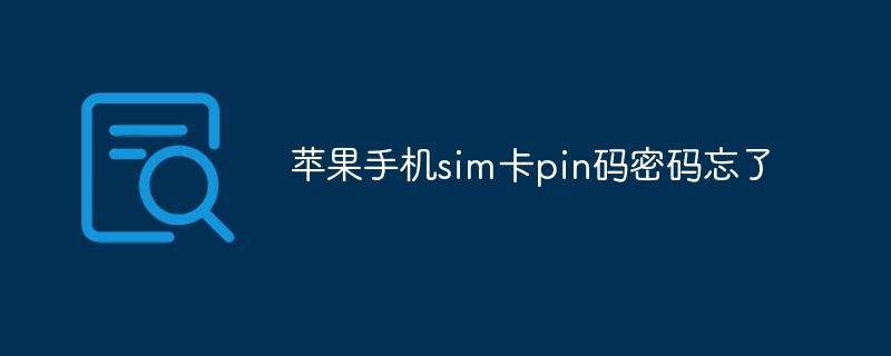 苹果手机sim卡pin码密码忘了