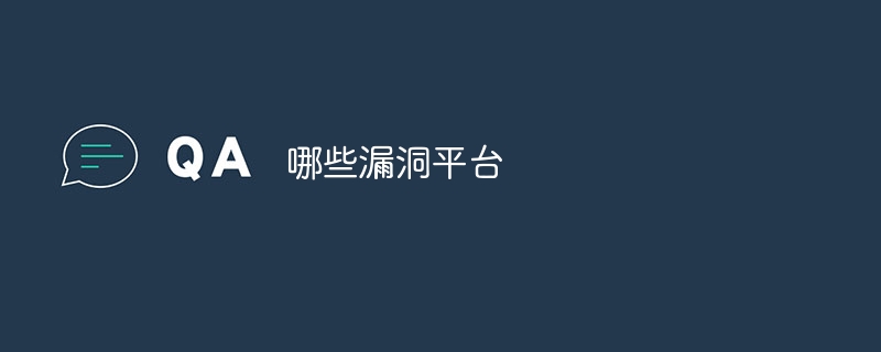 哪些漏洞平台