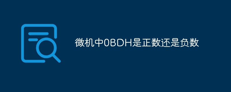 微机中0BDH是正数还是负数