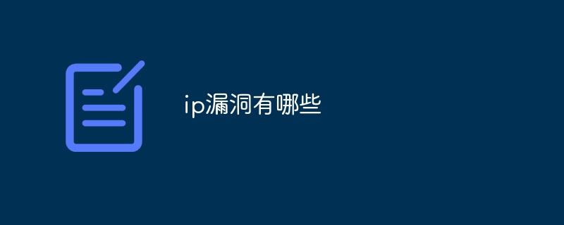 ip漏洞有哪些
