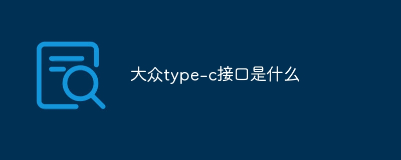大众type-c接口是什么