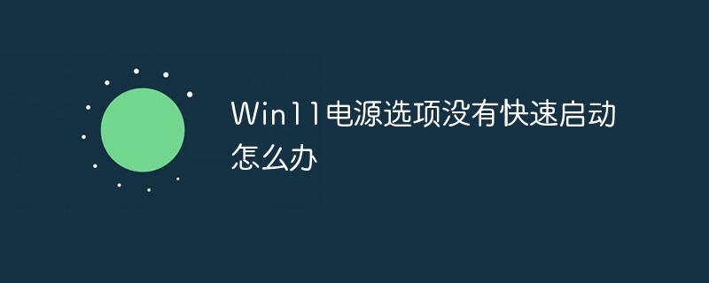 Win11电源选项没有快速启动怎么办