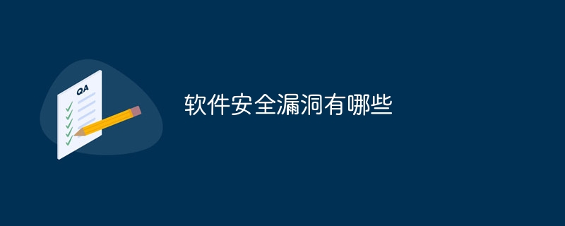 软件安全漏洞有哪些