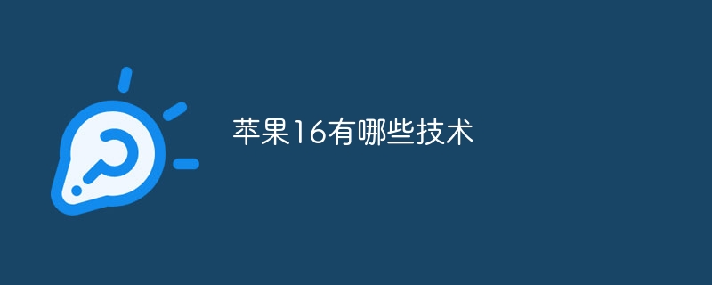 苹果16有哪些技术