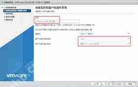 vmware有防火墙功能吗