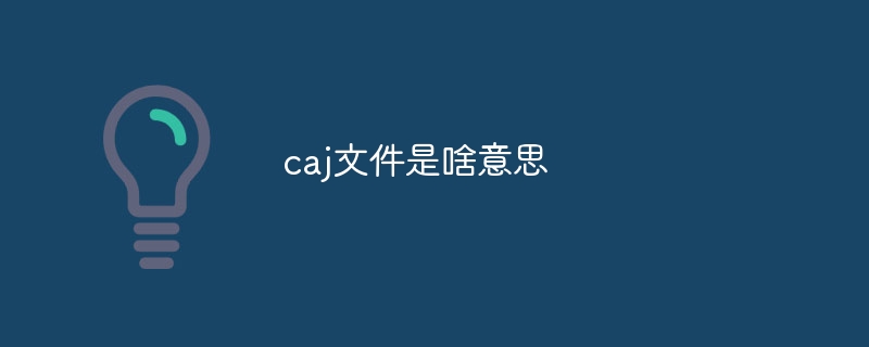 caj文件是啥意思